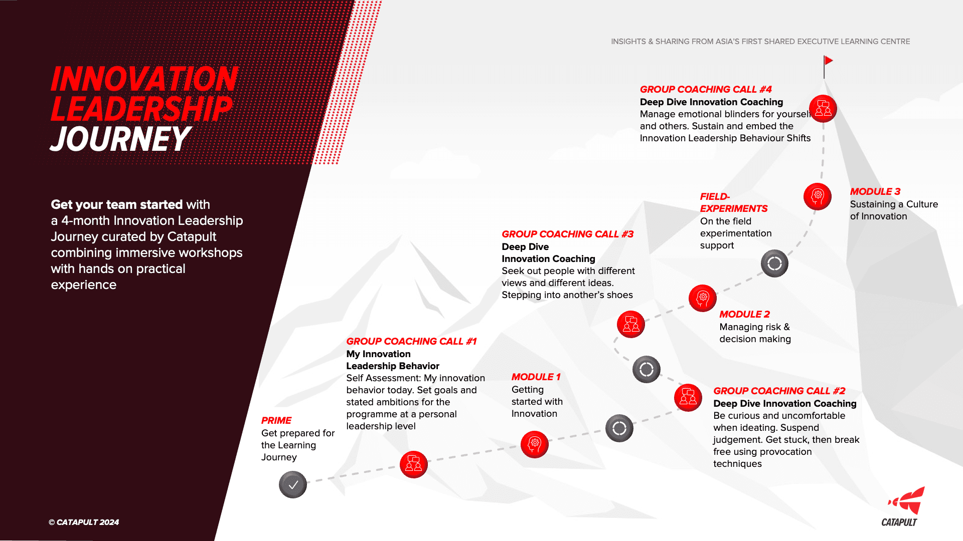 Innovation Leadership Journey